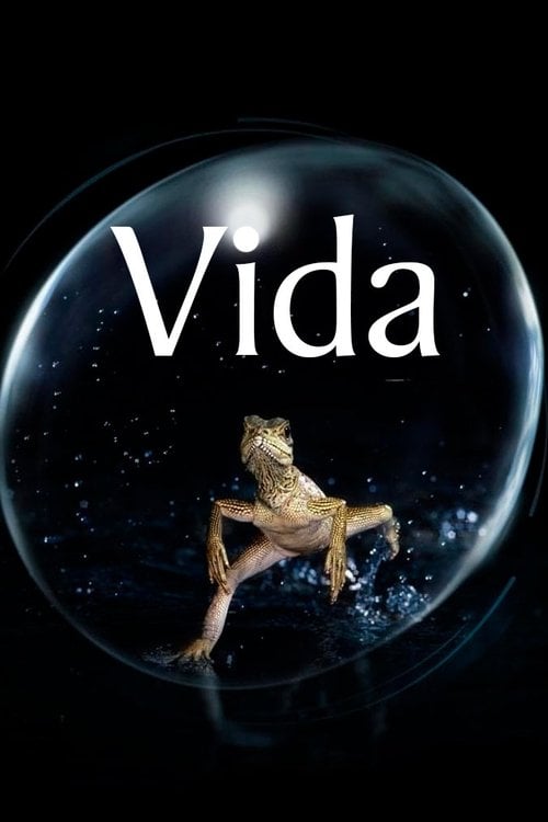 Vida